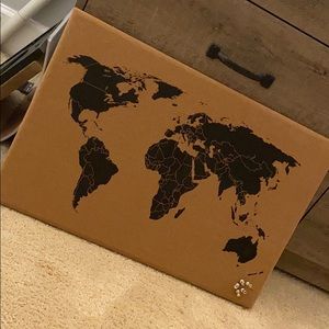 Cute world map bulletin board